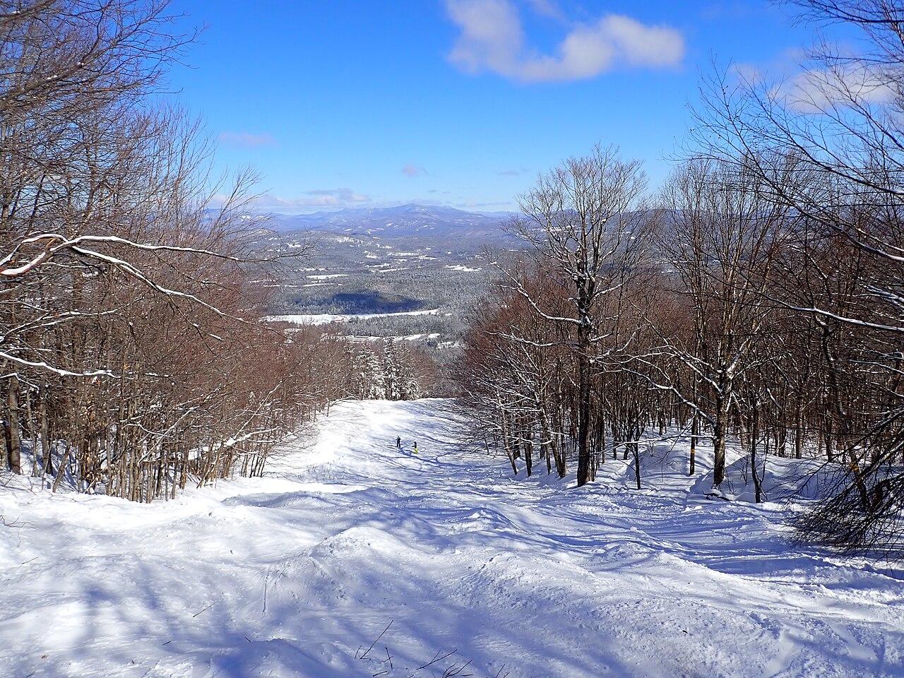 高山滑雪战术解析:节奏与空间如何决定走势(数据科技视角)